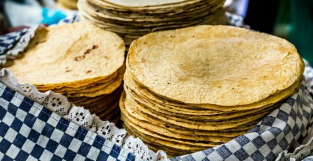 Aseguran que nueva ley de maíz hará que el kilo de tortilla cueste entre 40 y 60 pesos