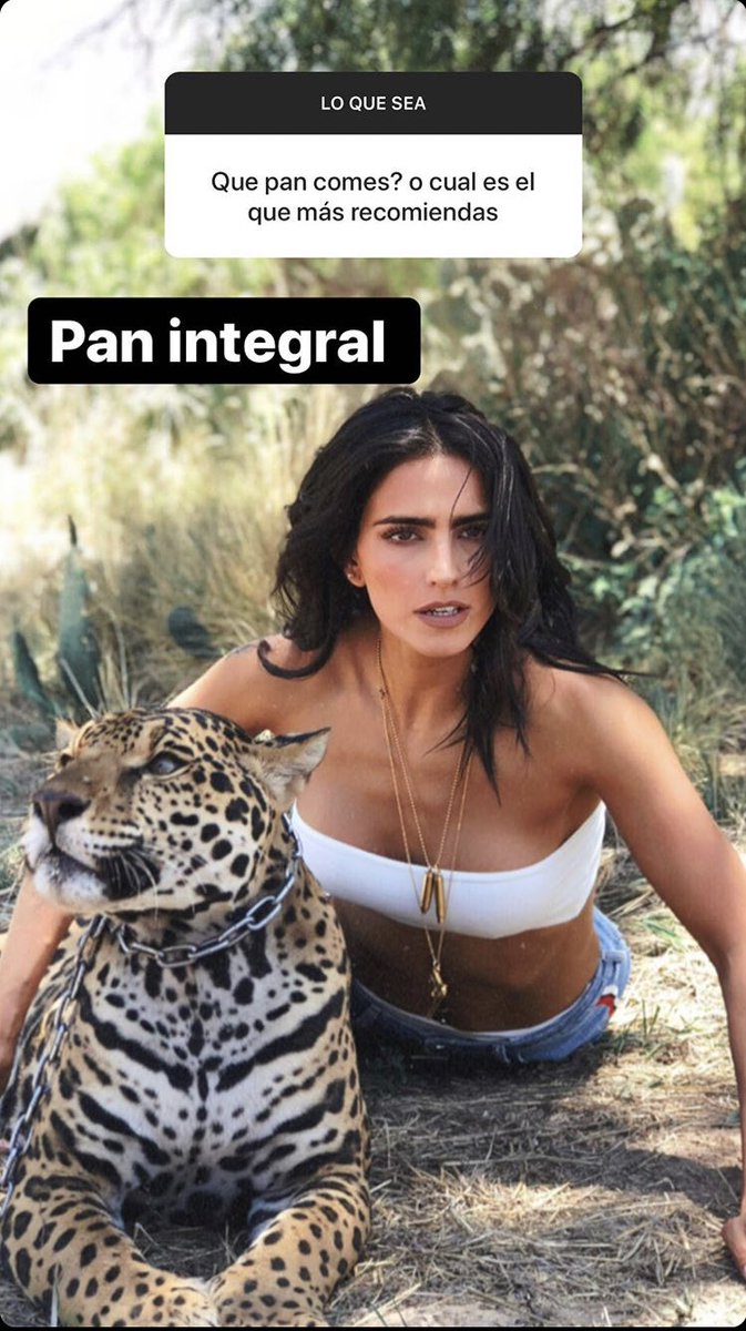 Bárbara de Regil presume que come pan integral y le llueven los memes