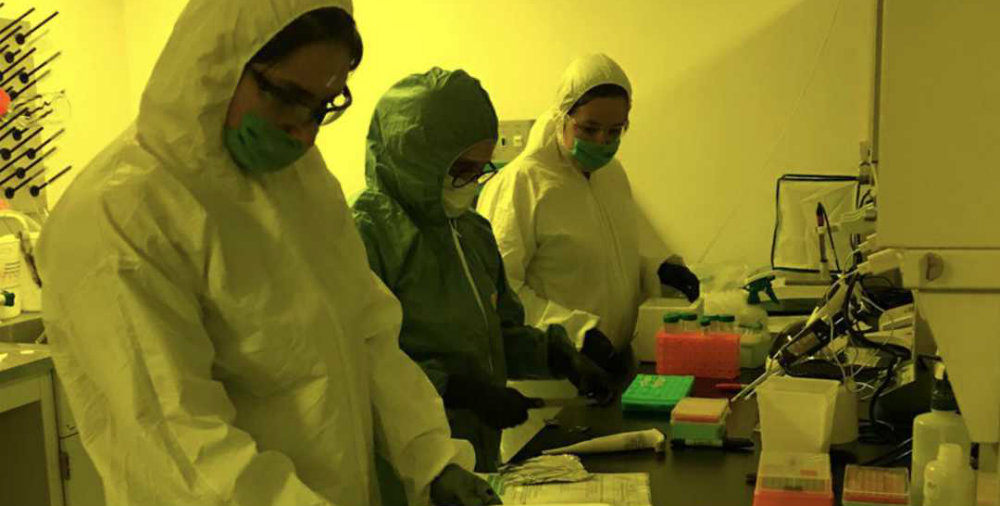 Científicos de la UNAM crean prueba rápida y barata de COVID-19
