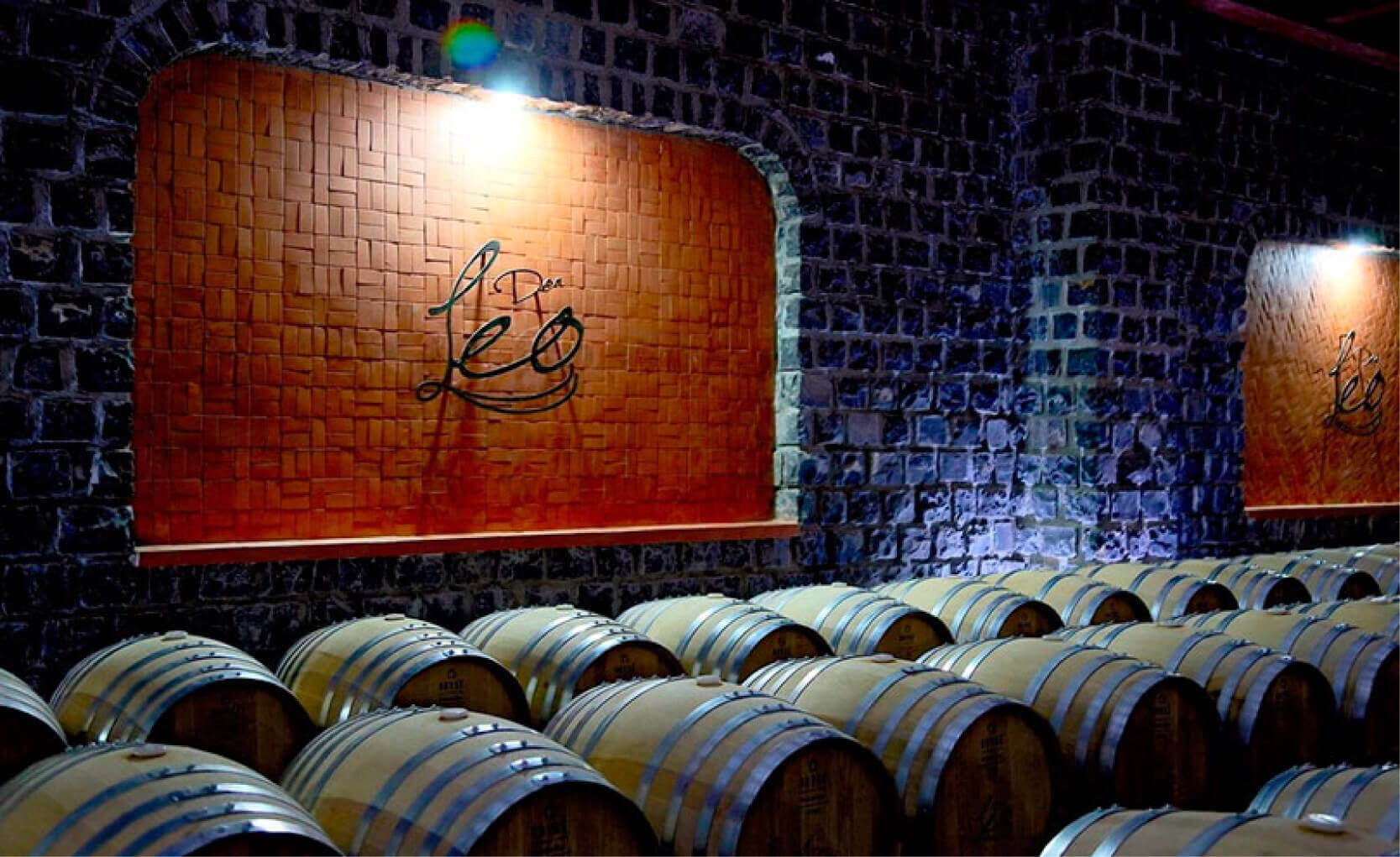 vino mexicano el mejor del mundo