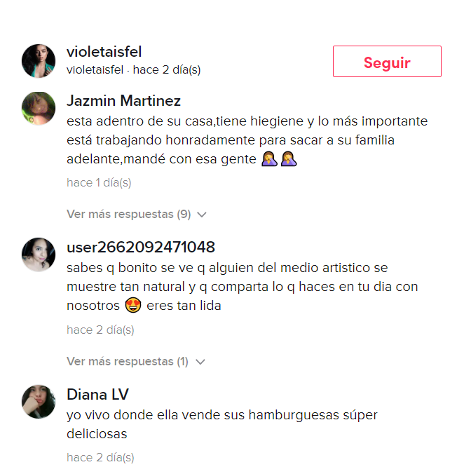 Violeta Isfel hamburguesas