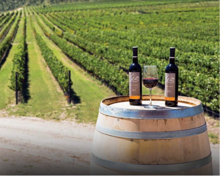 Este vino mexicano fue nombrado el mejor del mundo