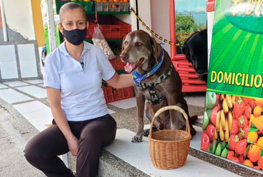 asaltan a perrito Eros