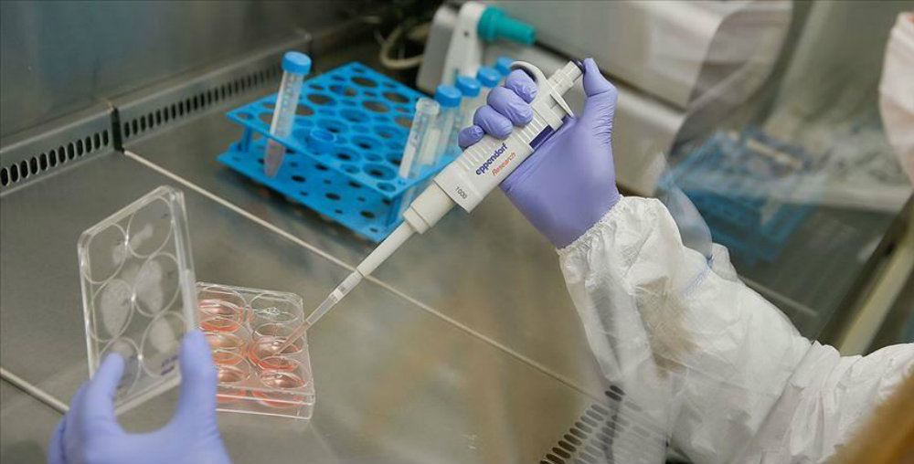 Mexicanos crean tratamiento que curaría el COVID-19 en 48 horas