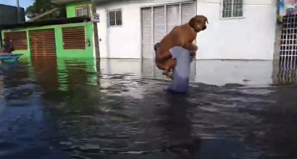 Joven rescata a su perrito Frijol de las inundaciones de Tabasco