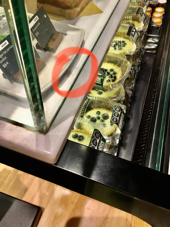 Usuaria denuncia que encontró una cucaracha en los postres de Starbucks