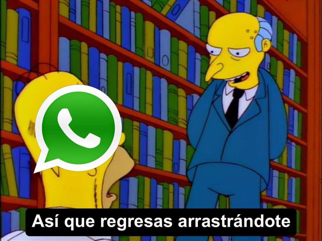 Los memes de las "disculpas" de WhatsApp en sus estados