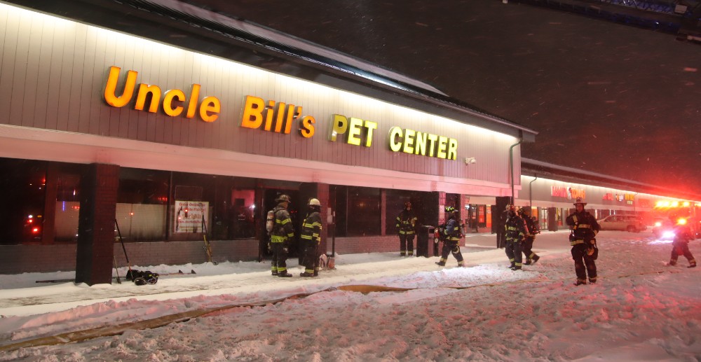 Fallecen 100 animales durante un incendio en una tienda de mascotas
