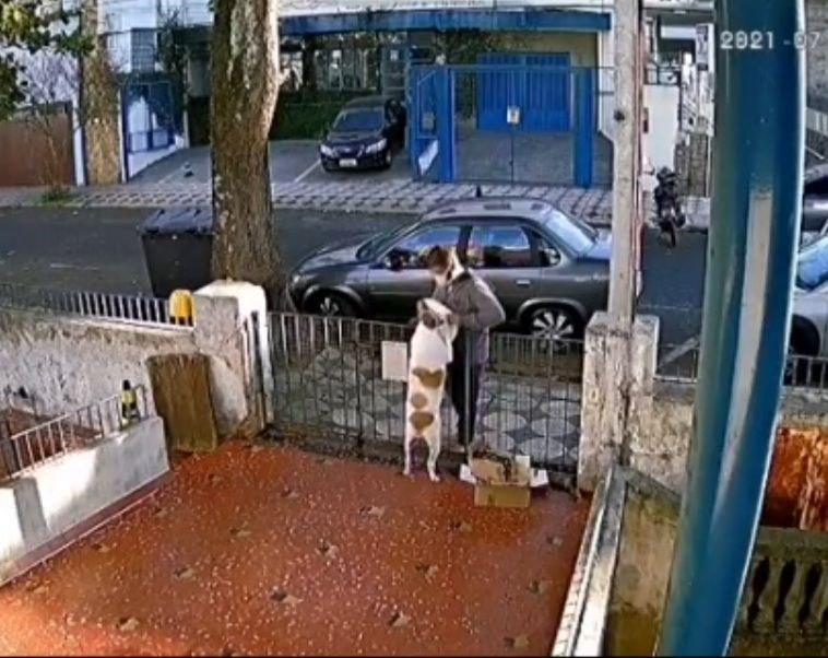 Se acerca a acariciar a un perrito para después robarle su suéter