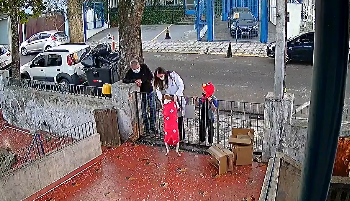 Le regalan otro suéter a perrito que fue víctima de la delincuencia