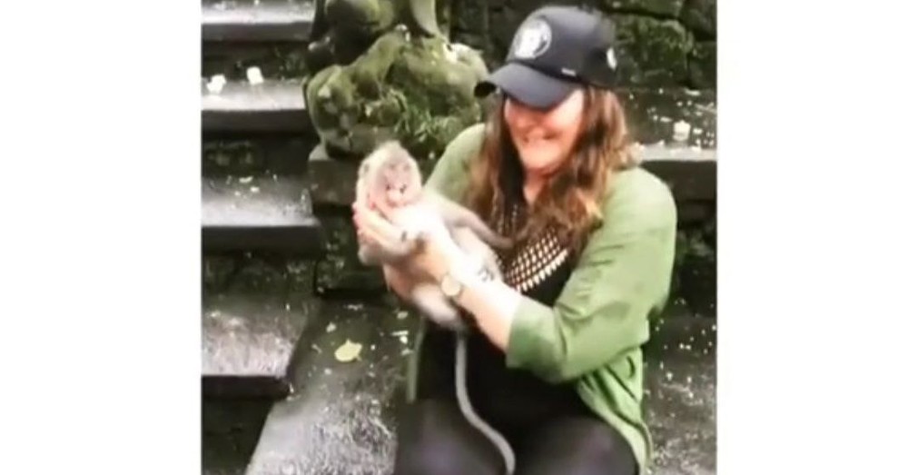 Mamá mono ataca a una turista que agarró del cuello a su cría