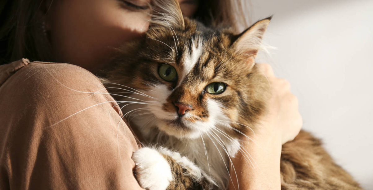 Joven corre a su novio de la casa porque le gritó a su mascota