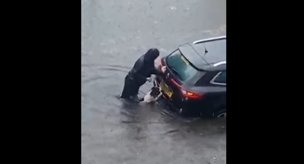 Perrito ayuda a su dueña a empujar el auto para salir de inundación