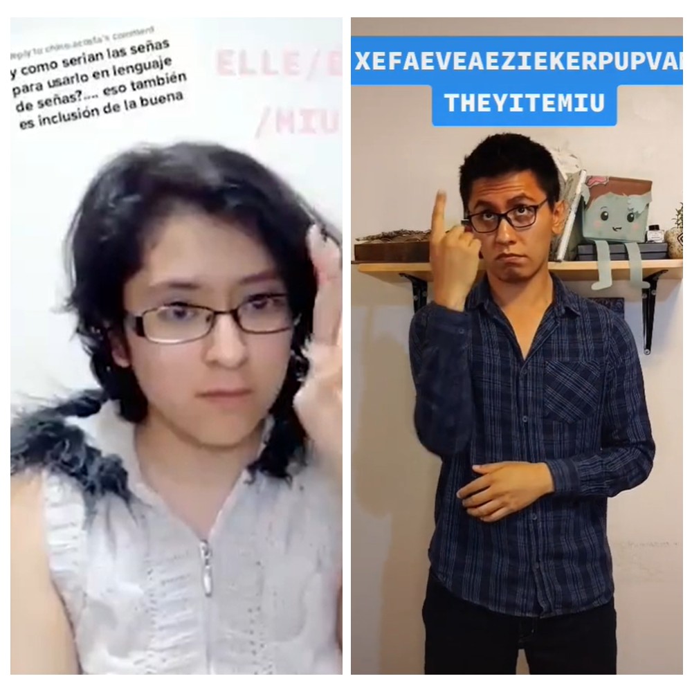 Intérprete de LSM reclama a Andra por modificar la lengua de señas