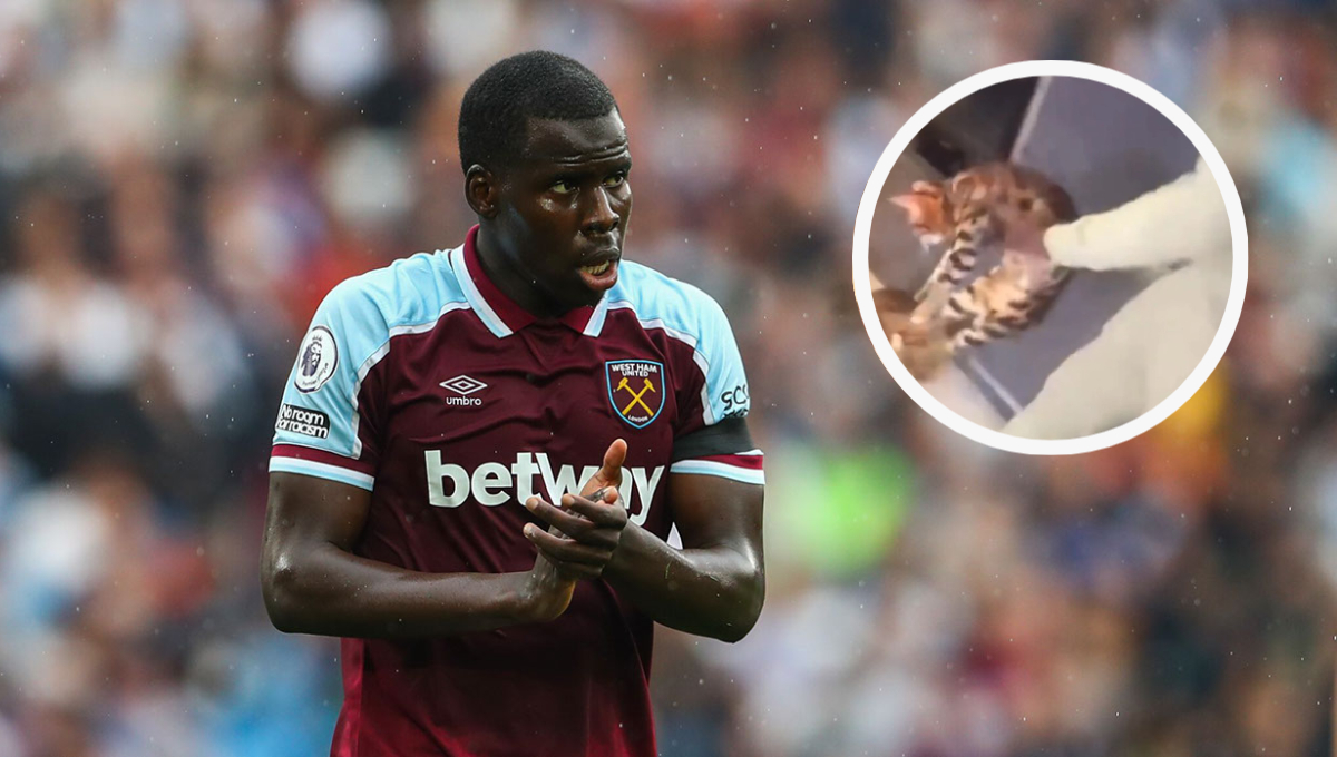 Multan a futbolista que se grabó maltratando a sus gatos y se queda sin patrocinadores