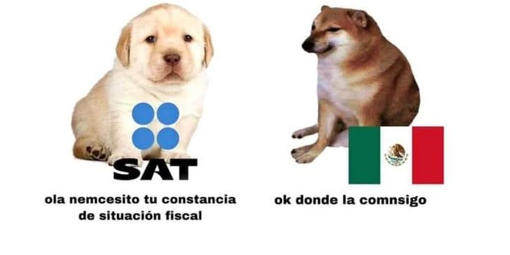 Los Memes Del Sat Y La Constancia De Situaci N Fiscal