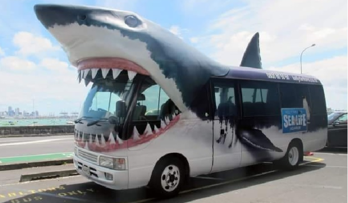 Los mejores memes de vivir en Veracruz