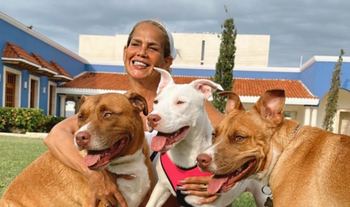 Así es la casa donde vive Niurka Marcos