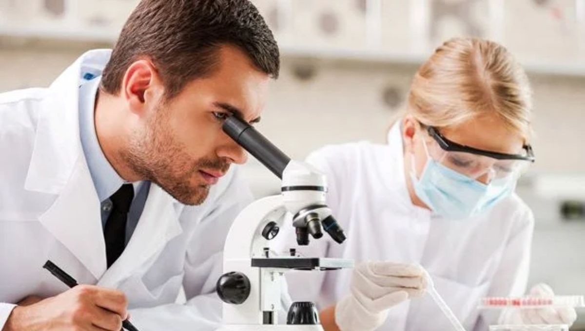 Nueva terapia siembra esperanzas contra el cáncer: ¿En qué consiste y cómo funciona?