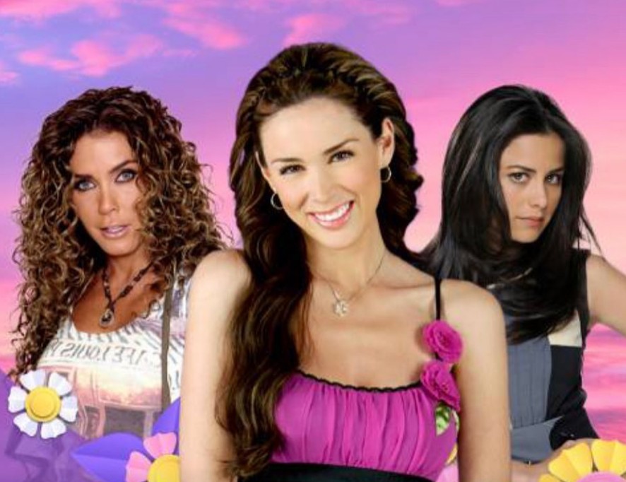 Debutó en televisión con la telenovela "Locura de amor", donde interpretó a Priscila Beltrán bajo la producción de Roberto Gómez Fernández.