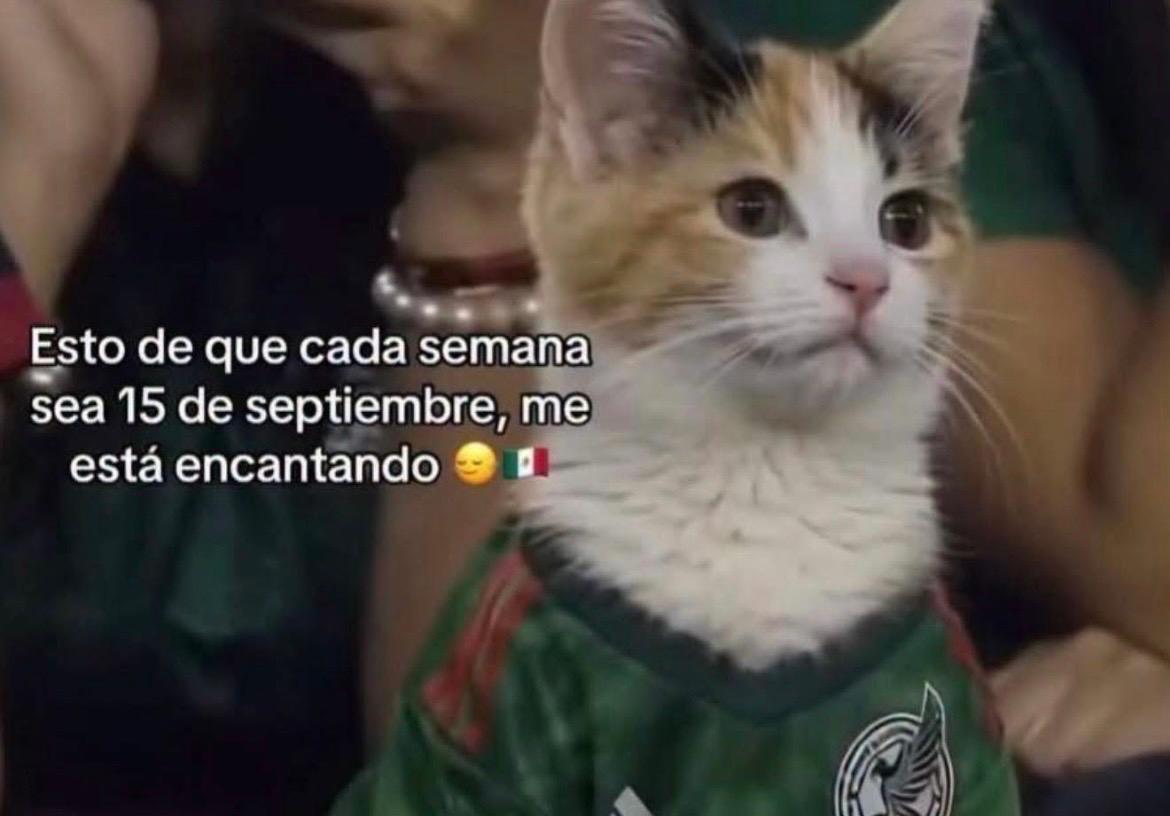 Algunos memes ironizaron sobre quienes ya preparan celebraciones por un supuesto campeonato mundial de México.