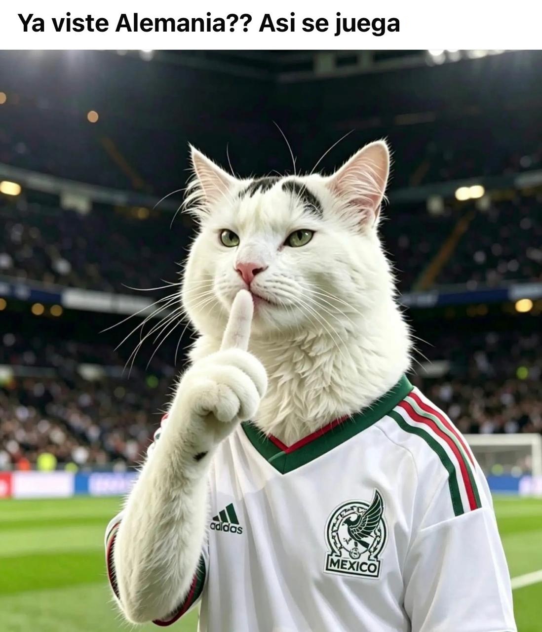 Los usuarios destacaron con humor que México ha ganado cuatro partidos sin recibir un solo gol en el torneo.