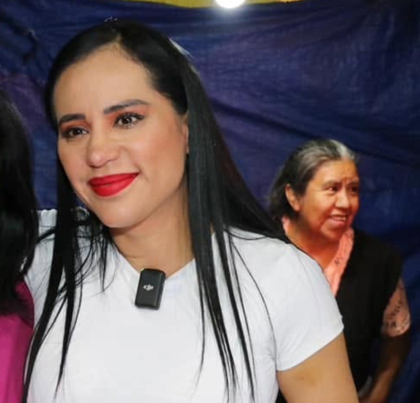 En febrero de 2024 se registró ante Movimiento Ciudadano como candidata a una fórmula para el Senado de la República por la Ciudad de México.