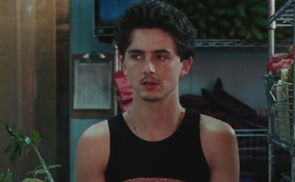Timothée Chalamet (Marty Supreme)
