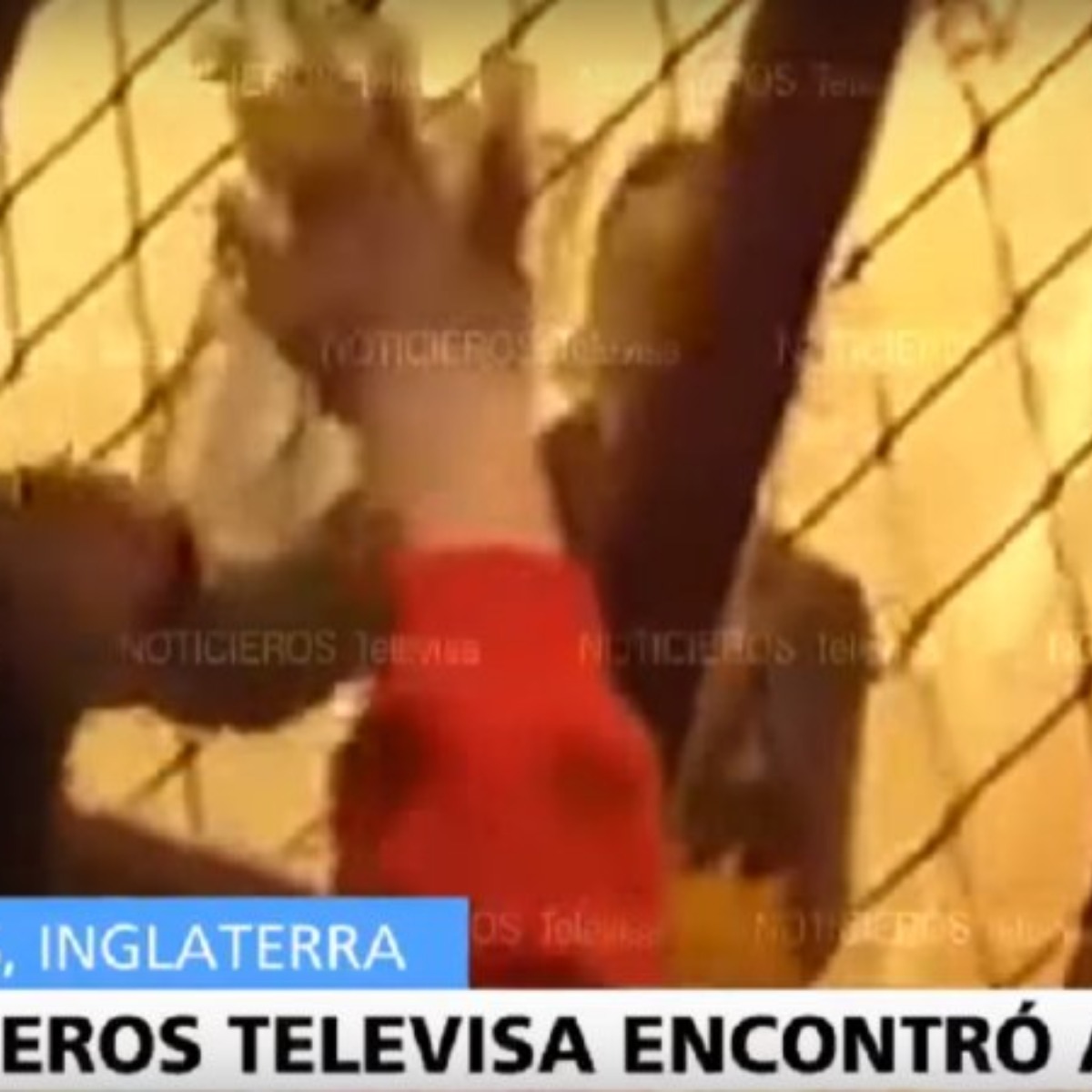 #VIDEO Los minutos de angustia que vivió el hijo de Javidú cuando su mamá lo dejó para huir