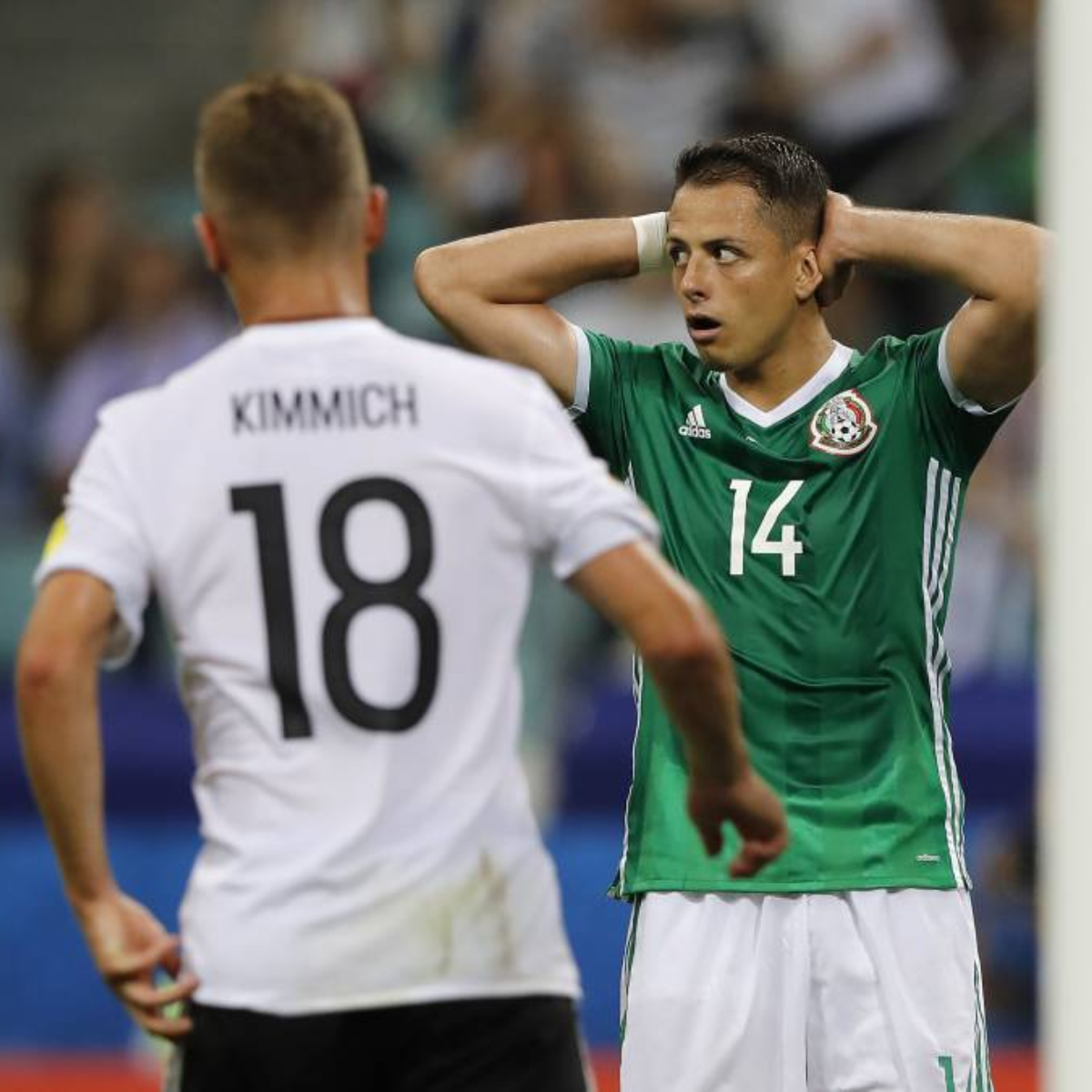 #AhPrros: México lidera el Mundial con el mayor crecimiento en redes sociales