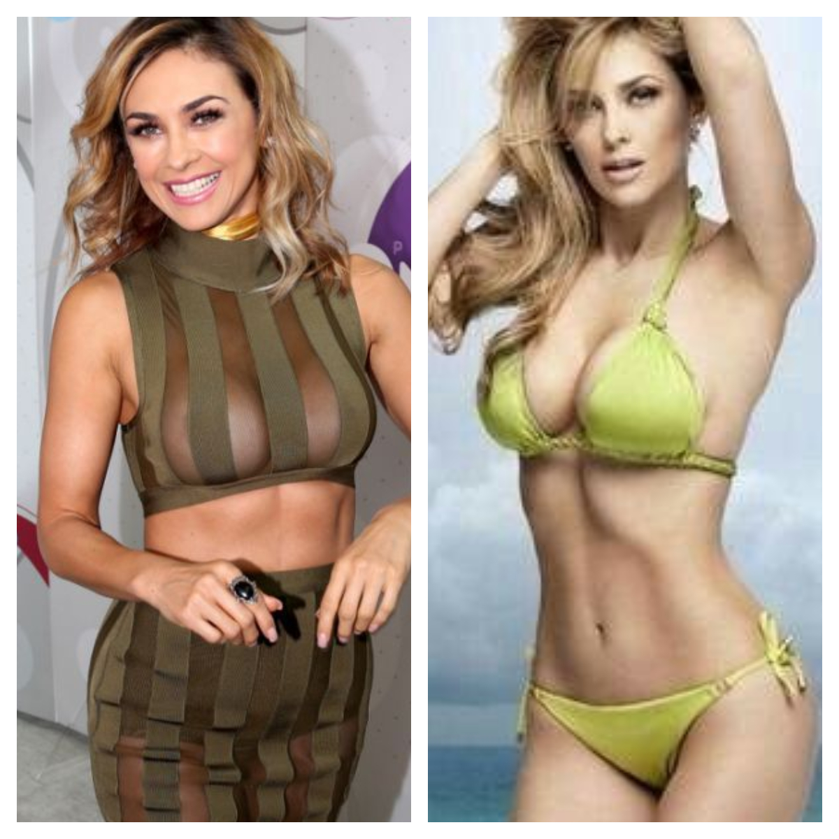 Aracely Arámbula muestra infartantes curvas en Instagram