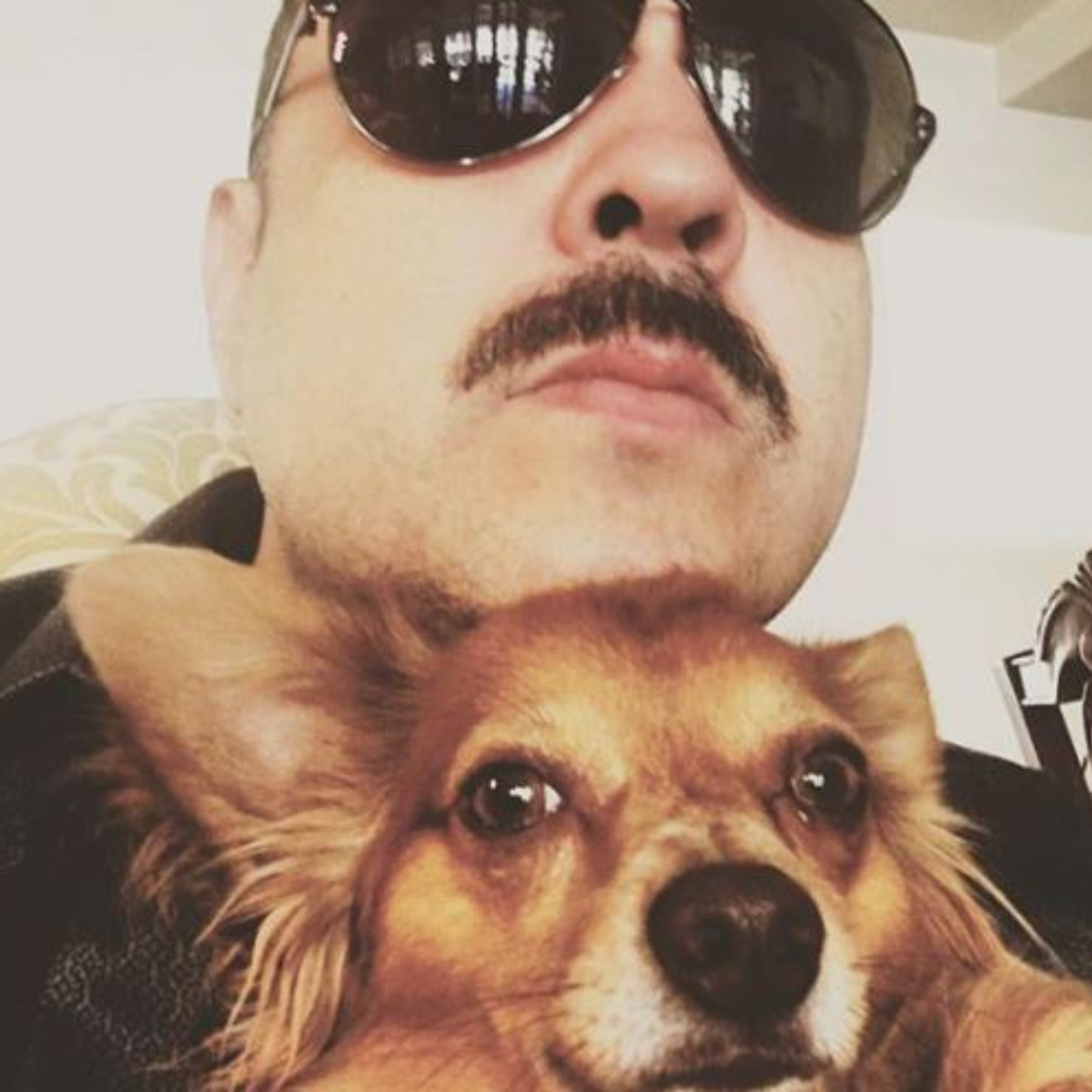 Volaris pierde al perrito de Pepe Aguilar y lo entrega sin vida