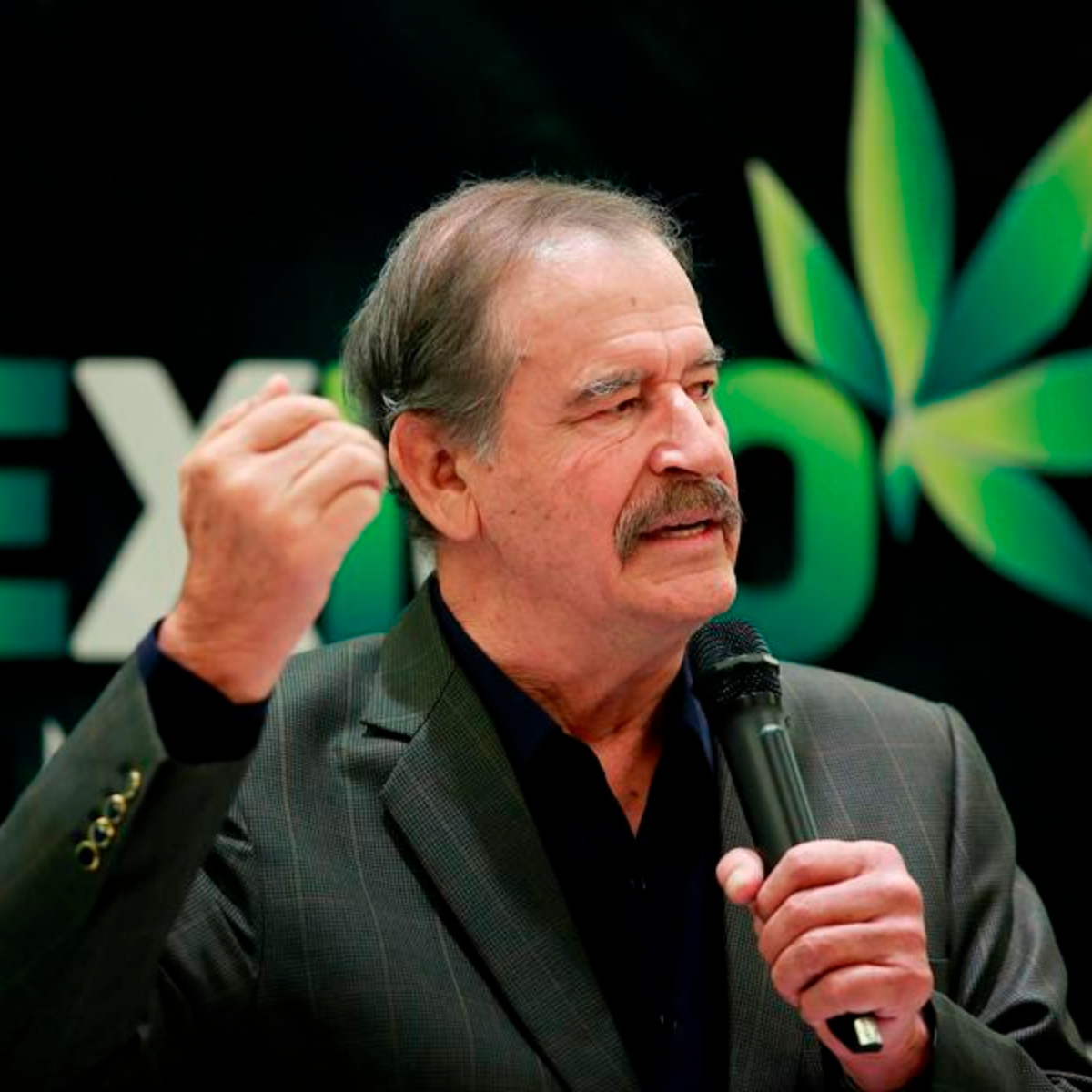 Ante un futuro sin pensión, Vicente Fox consiguió chamba como embajador de marihuana medicinal