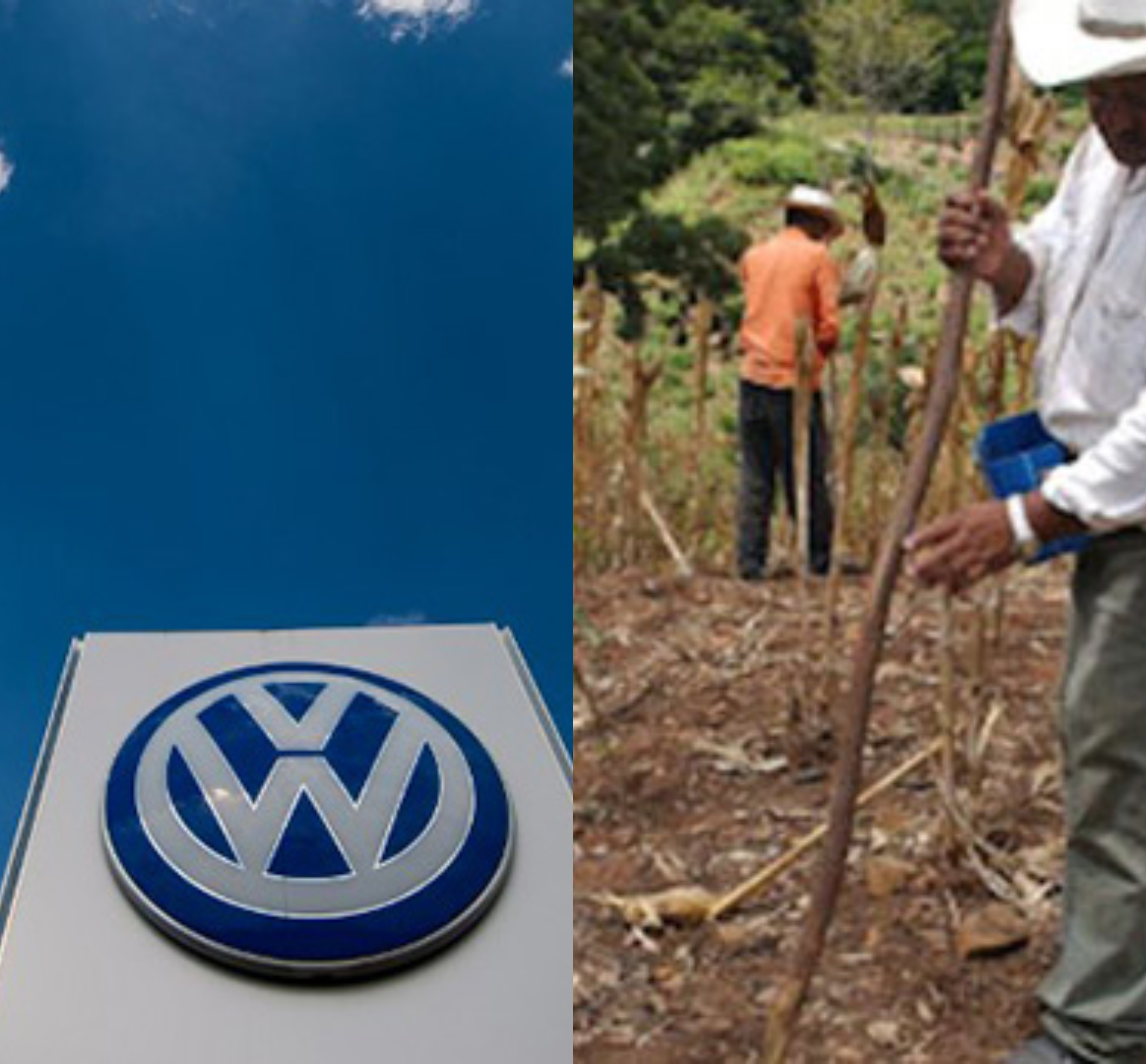 Volkswagen ‘detiene a Tláloc’ y las cosechas sufren graves consecuencias