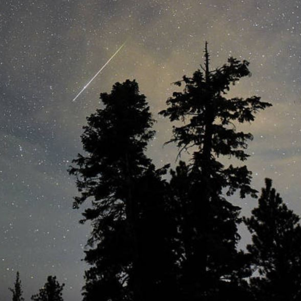 ¿Cuándo y cómo ver la lluvia de estrellas Perseidas?