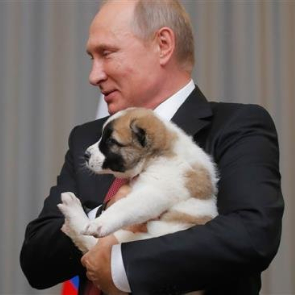 El calendario oficial de Vladimir Putin existe y TIENES que ver las fotos