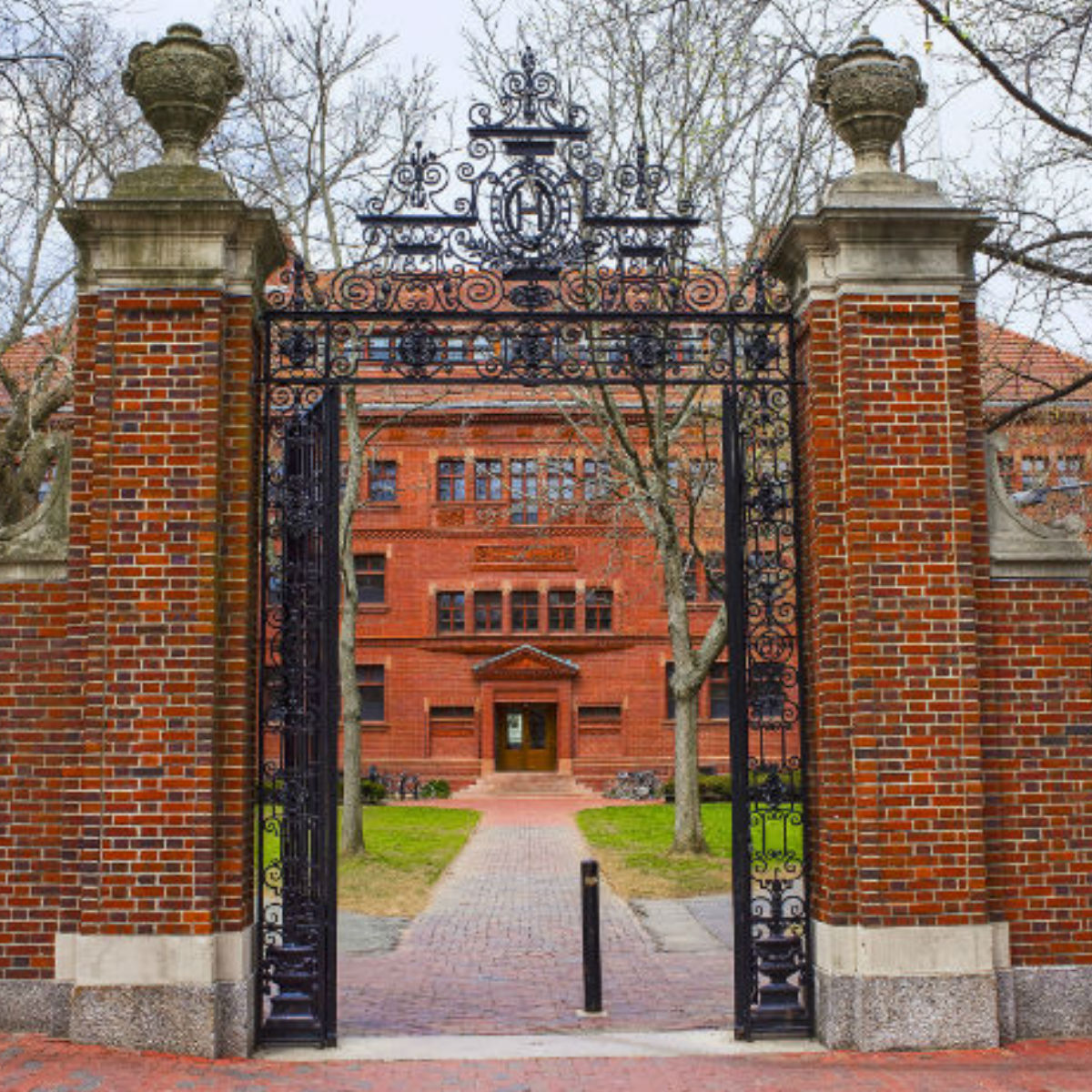 ¿Quieres estudiar en Harvard? Esto es lo que debes pagar para ingresar