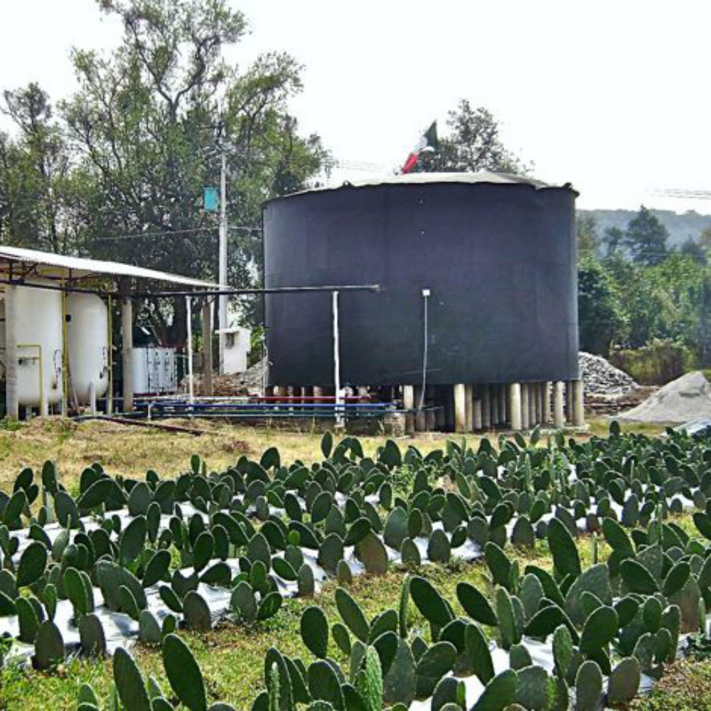 La primera planta distribuidora de gasolina hecha a base de nopal