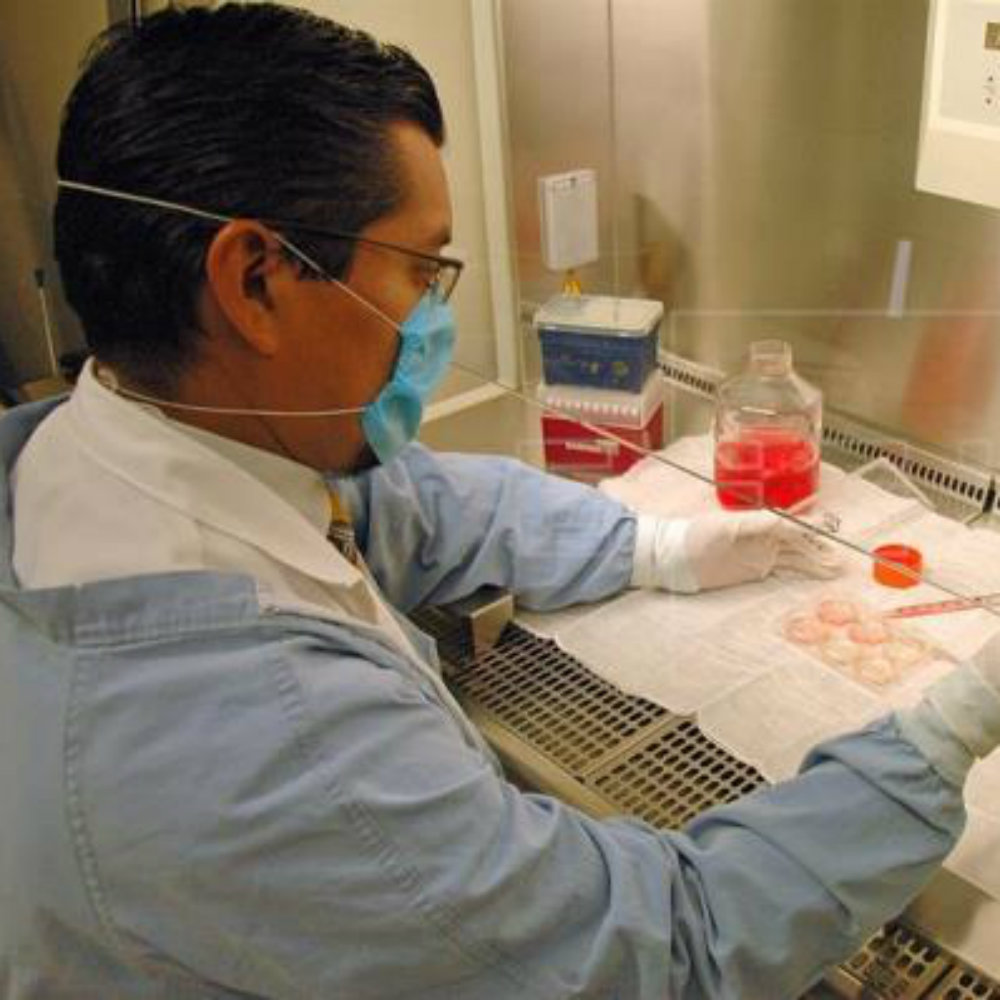 Mexicano desarrolla técnica para regenerar piel de personas con quemaduras