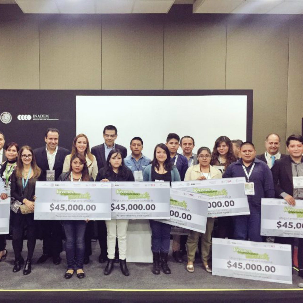 Diputados le dan el último adiós al Instituto Nacional del Emprendedor