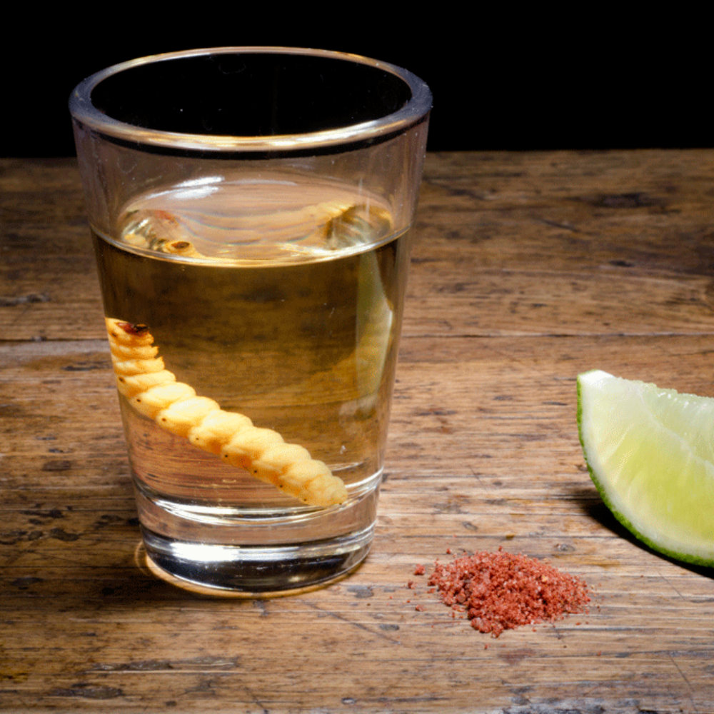 La verdadera razón por la que el mezcal es la bebida favorita de los extranjeros