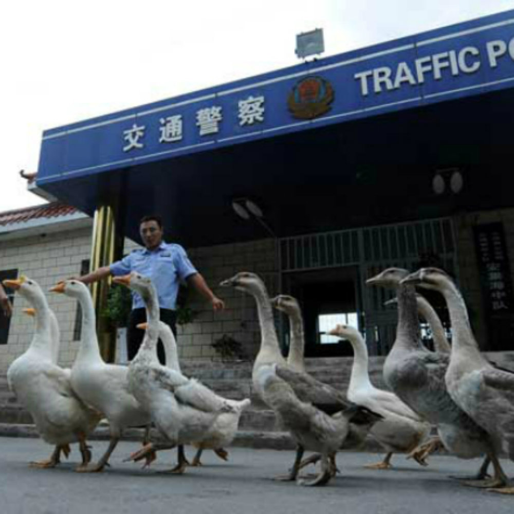 10 cosas insólitas que pasan en China y jamás creerías