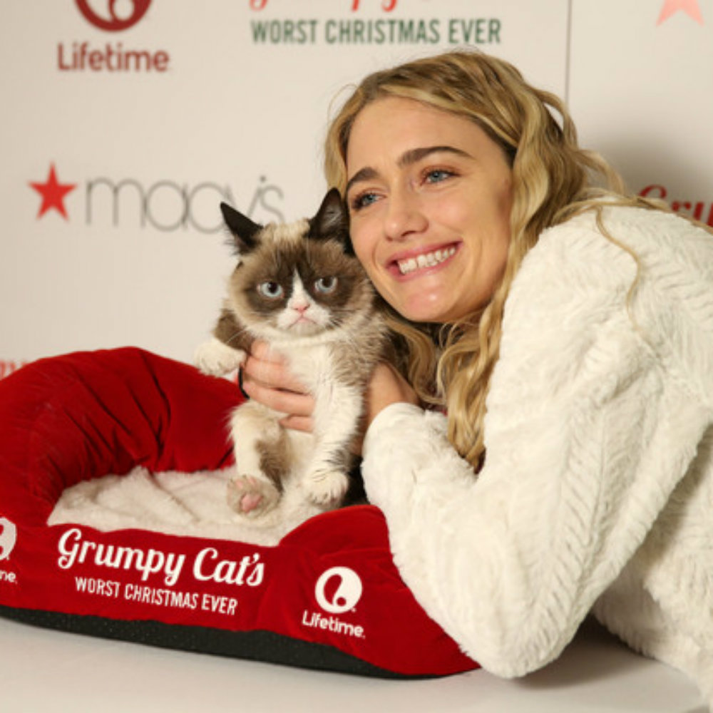 Cosas que no sabías de Grumpy Cat, la gatita gruñona más famosa