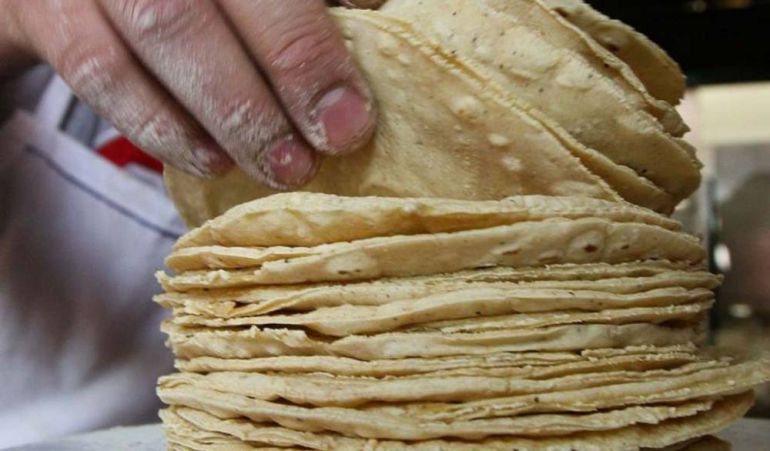 Crean tortillas que ayudan a combatir la obesidad y diabetes