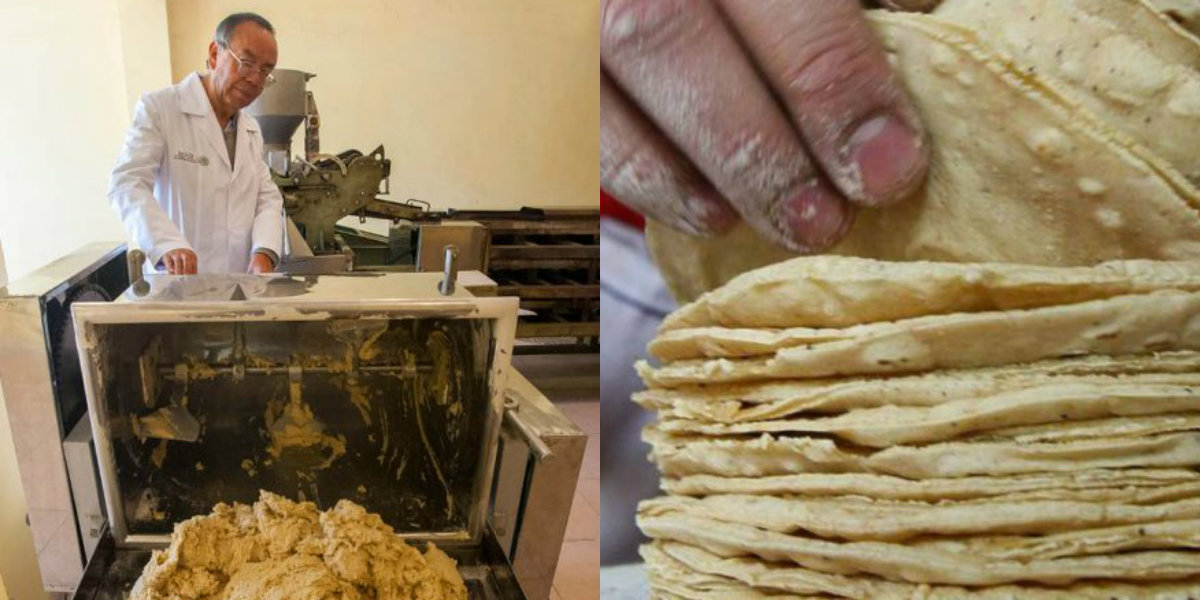 Crean tortillas que ayudan a combatir la obesidad y diabetes