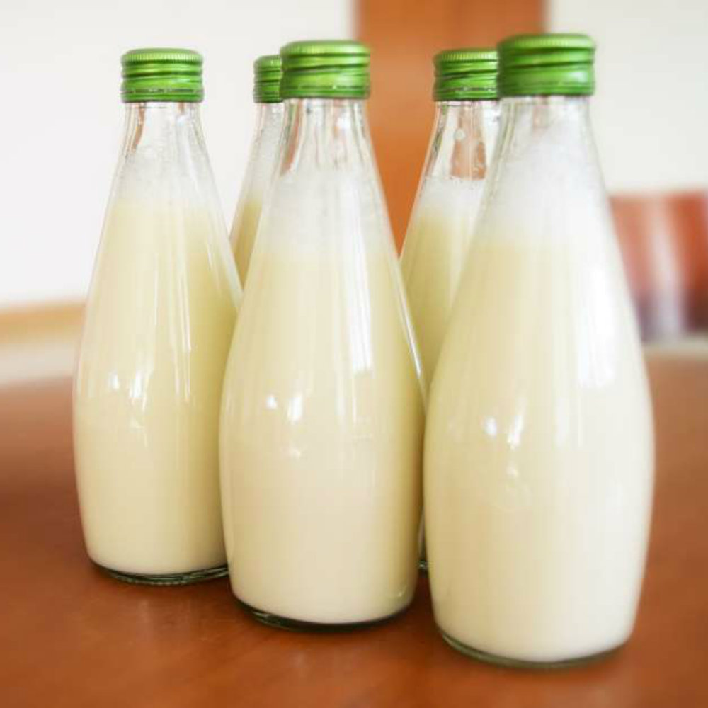 ¿Por qué la leche de cucaracha podría ser el superalimento del futuro?