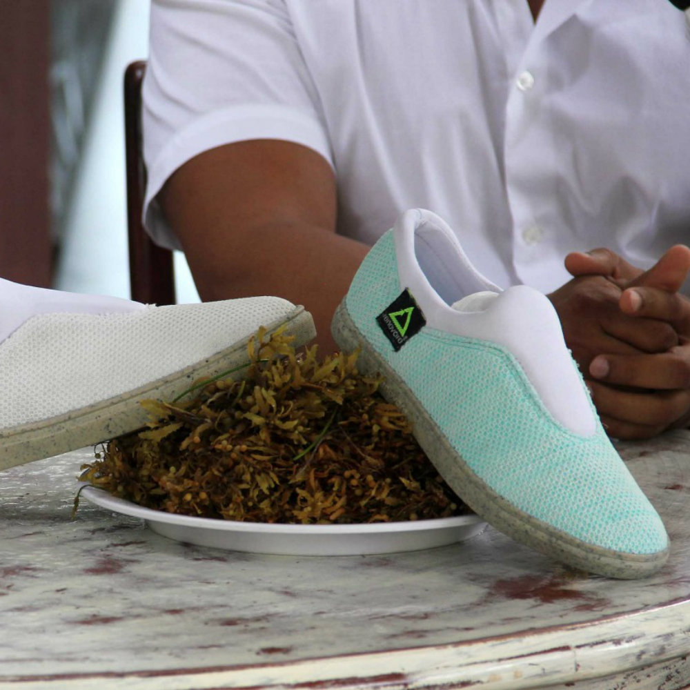 Productos hechos con sargazo que podrían ser una solución para el problema