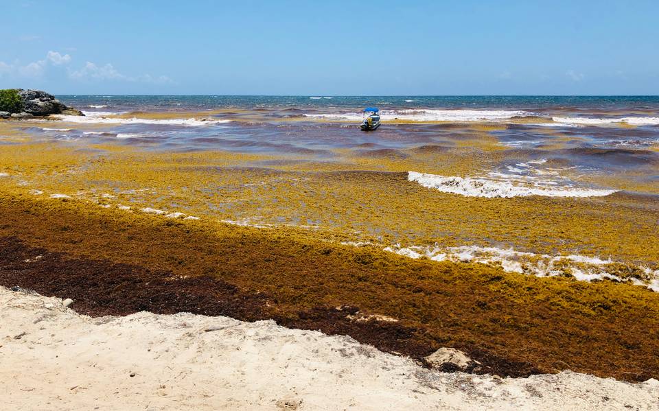 Playas Libres De Sargazo Que Puedes Visitar En Quintana Roo