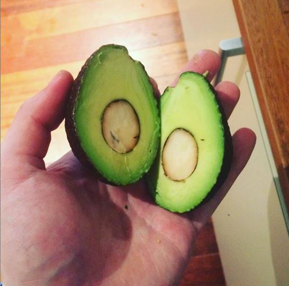 EU lanza tutorial para partir aguacates ante epidemia de manos cortadas