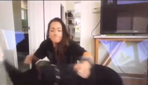 Por error youtuber sube video donde le escupe y avienta a su perro